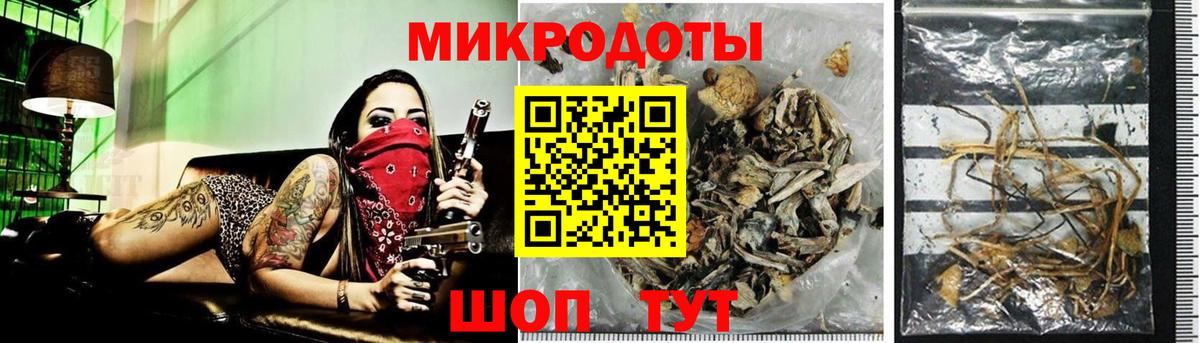 Галлюциногенные грибы мицелий Берёзовский