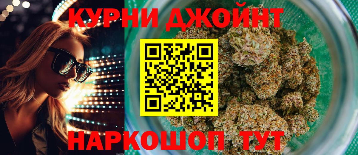 Каннабис конопля Берёзовский
